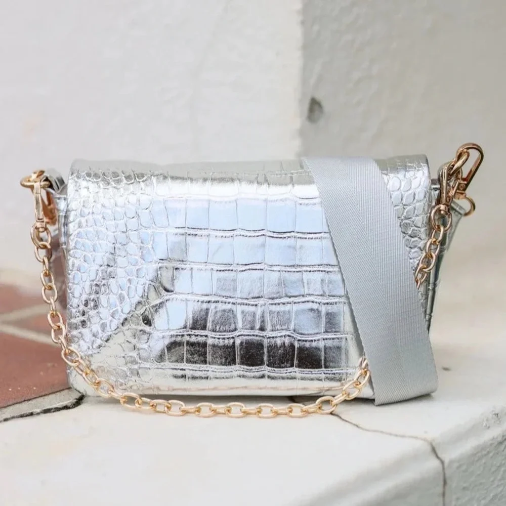 Caroline Hill Dakota Platinum Crossbody ntw - Picture 1 of 7